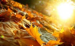 PROGNOZA METEO pentru următoarele două săptămâni. Cum va fi VREMEA până în 12 noiembrie