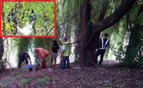 Groază în Parcul Liniștii din Satu Mare. O femeie care își plimba cățelul a crezut că este un bărbat care se odihnea, dar când s-a apropiat a paralizat de frică (VIDEO)
