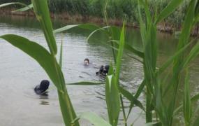 TRAGEDIE la Pecica, unde un băiat de 14 ani s-a înecat într-un lac din apropierea pescăriei