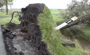 DEZASTRU în Germania! O FURTUNĂ puternică a provocat moartea a 6 oameni. Rafalele de vânt aveau până la 120 km/h  (VIDEO)