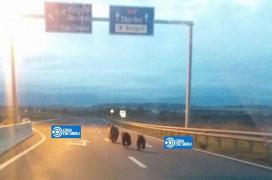 IMAGINI INCREDIBILE! Trei urşi, surprinşi plimbându-se pe autostrada A1, la ieșirea spre Ocna Sibiului