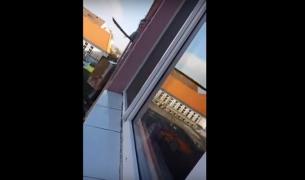 Caz controversat la Sibiu! O femeie cu probleme psihice își TERORIZEAZĂ zilnic vecinii. Ea aruncă obiecte, îi atacă și chiar intră peste ei în casă. IMAGINI șocante