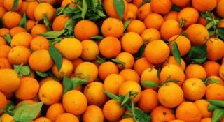 Semnal de ALARMĂ! Unele citrice pe care le consumăm sunt tratate cu o substanţă extrem de PERICULOASĂ!