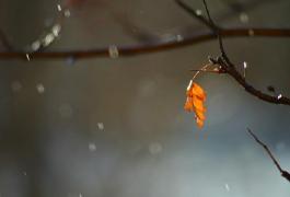 Avertizăre meteo de ULTIMĂ ORĂ! Cod galben de VREME REA în România. Vezi zonele afectate