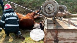 Accident tragic în Constanța. Un bărbat a murit după ce s-a răsturnat, cu tot cu căruță și cal, într-o râpă de la marginea drumului