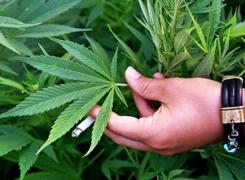 Încă o ţară a legalizat consumul de cannabis în scop terapeutic!