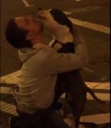 Imagini pline de emoţie. Un orădean şi-a recuperat căţeluşa furată. Momentul întâlnirii cu patrupedul după luni întregi pare desprins din filme!