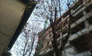 S-a rupt macaraua de pe santierul Spitalului de Copii din Timisoara. Mai multe echipaje de pompieri, politie si jandarmi au fost mobilizate