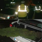 Poliţiştii din Timişoara s-au crucit când a trecut pe lângă ei, la 2 noaptea, un tânăr care căra un brad în spate, cu rădăcini cu tot