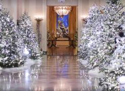 Casa Albă, împodobită de Crăciun! Cum arată interiorul cerut special de Melania Trump - VIDEO