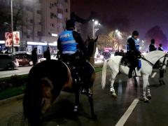 Jandarmeria cere ajutor pe Facebook, pentru identificarea unui bărbat care a lovit un cal la protestul de duminică