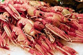 Descoperirea şocantă a unor pescari! Oamenii au gpsit un homar „tatuat” cu logo-ul Pepsi pe un cleşte (Foto)