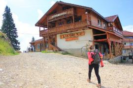 Un urs a ATACAT cabana Postăvarul! Uşa de la intrare a fost distrusă, 50 de turişti au trăit momente de groază (VIDEO)