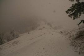 Alertă în Hunedoara! Mai multe persoane au fost surprinse de avalanşă în Parâng