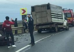 Tragedie în Bihor, la Diosig! O fetiță de un an și 3 luni a murit într-un accident devastator, pe DN 19. Mama copilei, însărcinată, este în stare critică