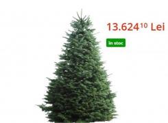 Cel mai scump brad din România costă peste 13.000 de lei: 'Moş Crăciun îl poate vedea de la altitudine de croazieră'