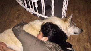 Poliţist cu dosar penal, după ce a ucis câinele unei tinere cu o armă de vânătoare. Femeia a sunat speriată la 112