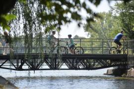 Parcul Herăstrău va purta numele Regelui Mihai, după o hotărâre luată în Consiliul General al Capitalei