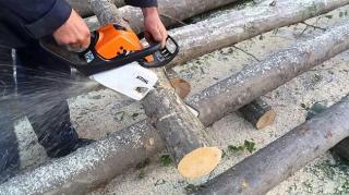 Un drujbar din Vrancea a murit strivit de un copac, chiar în ultima sa zi de muncă. O fetiţă de doar două săptămâni a rămas fără tată