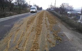 Scene incredibile la Vaslui. Un "Dorel" a blocat circulaţia, după ce a vărsat tone de bălegar pe şosea. Mirosul, insuportabil