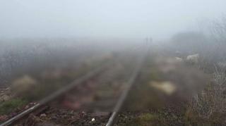 Carnagiu pe calea ferată. Aproape 100 de oi au fost spulberate de un tren în Mureş
