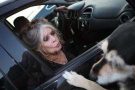 Brigitte Bardot va publica o carte-testament despre lupta sa pentru animale: 'Nu voi mai scrie niciodată'