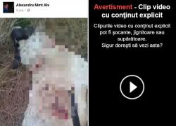 ABOMINABIL! Un arădean MĂCELĂREŞTE un câine cu secera, filmează scena şi postează grozăvia pe Facebook: "Ia să vedem ficăţeii!"