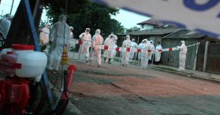 ALERTĂ de GRIPĂ AVIARĂ în Capitală! Celulă de criză la Primăria Sectorului 1: Populaţia să evite contactul cu păsări sălbatice!