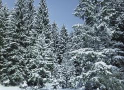 Cum va fi VREMEA în weekend. Prognoza meteo pentru sâmbătă şi duminică