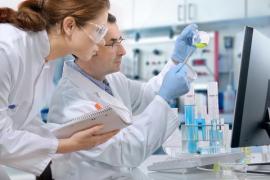 ANSVSA confirmă 12 focare de gripă aviară la animale domestice în România