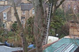 DESTIN TRAGIC pentru un român plecat la muncă la Londra: A murit tăiat de o drujbă