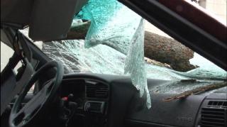 Vântul face ravagii, la Suceava. Un copac a strivit o maşină, cei doi pasageri au ajuns la spital (FOTO)