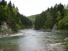 Trei râuri din Iaşi, poluate cu uleiuri şi hidrocarburi, de la un transformator! Cine sunt vinovaţii