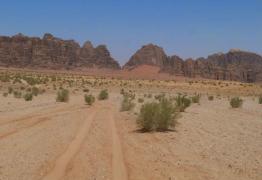 DESCOPERIRE MACABRĂ: 100 de cadavre descoperite de autorităţi într-o groapă comună