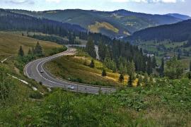 Romsilva câştigă un proces cu Biserica Ortodoxă Română, deschis acum 16 ani. Peste 160.000 hectare de păduri rămân ale statului