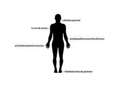 Ce spun trăsăturile corpului despre tine? Legăturile la care nu te-ai fi gândit vreodată, explicate acum de specialişti