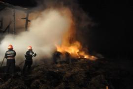 Adăpost de animale făcut scrum la Călărași, din cauza unui scurtcircuit