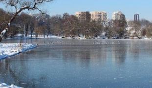 CELULĂ DE CRIZĂ la Primăria Sectorului 1! Descoperire şocantă pe malul unui lac din Capitală