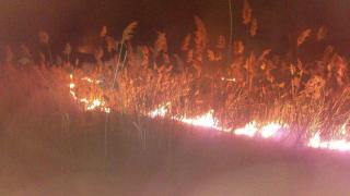 INCENDII de vegetaţie uscată, la Sălaj. Pompierii au avut 11 intervenţii, într-o singură zi (FOTO)