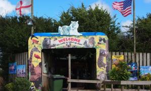 PARCUL ORORILOR: 500 de animale sălbatice, moarte de frig, electrocutate, din cauza unor traumatisme sau "eutanasiate" din lipsă de spaţiu (FOTO&VIDEO)