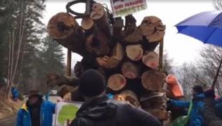 Acţiune FĂRĂ PRECEDENT pe Transfăgărăşan! Activiştii BLOCHEZĂ camioanele încărcate cu arbori tăiaţi în munții Făgăraș: "Este o CATASTROFĂ națională!" (VIDEO)