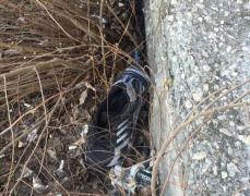 Fenomenul BALENA ALBASTRĂ: SFATURILE unui psiholog pentru tinerii care cad VICTIME acestui joc online SINISTRU (FOTO)