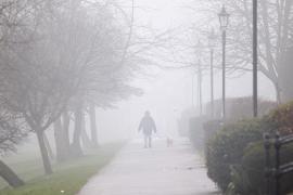 COD GALBEN DE CEAŢĂ în patru judeţe din ţară. Ce zone sunt afectate