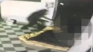 Mărturisire CUTREMURĂTOARE: om al străzii, lăsat să ardă de VIU! Ce l-a făcut pe un italian să comită crima (FOTO)