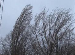 ALERTĂ METEO! Meteorologii au emis COD GALBEN în mai multe judeţe din ţară, pentru următoarele ore!