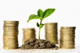 Au îngropat banii în grădină! Doi bărbaţi au fost reţinuţi de poliţie după ce au furat şi ascuns 5.500 euro şi 5.000 lei