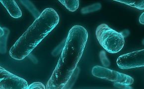 Descoperire revoluţionară: Oamenii de ştiinţă sunt la un pas de a obţine un TRATAMENT DEFINITIV pentru SIDA