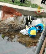 Trei români au murit, un altul e dat dispărut, după ce au căzut cu maşina într-un râu, în Italia (GALERIE FOTO)