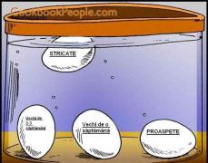 TRUC INEDIT! Cum aflăm cât de proaspăt este un ou, fără să fie nevoie să îl spargem! Asta ne va scăpa de multe neplăceri în bucătărie!