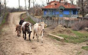 O treime dintre comunele României au grade de sărăcie peste medie şi severe